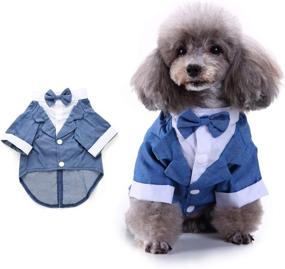 img 4 attached to 🐶 SOGAYU Dog Tuxedo Costume Formal Shirt, Blue Dog Wedding Jacket Suit with Bow Tie, Puppy Prince Ceremony Suit Small Dog Cat Clothes