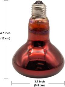 img 3 attached to 🐔 Fengrun 100W Infrared Heat Lamp: Waterproof, Explosion-Proof Bulb for Chicken, Pig Farm, Pets & Winter Physiotherapy