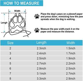 img 2 attached to 🐾 Waterproof Dog Shoes with Reflective Straps - Dog Winter Boots for Small Medium Large Dogs, Anti-Slip Sole Dog Booties Outdoor Paw Protectors 4PCS (Blue, Size 4: 2.5''x1.9'' (L*W))