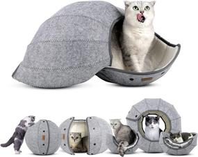 img 4 attached to 🐱 AMJ K·1 Cute Shell Cat Bed House Indoor, Interactive Cat Toys Ball – Soft Cat Cave &amp; Foldable Pet Tunnel Tube Condos, Multi-Function Fun Toy Bed for Puppy Dogs &amp; Cats (White)