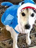 img 1 attached to Mogoko Funny Dog Cat Shark Costumes, Pet Halloween Christmas Cosplay Dress, Adorable Blue Shark Pet Costume,Animal Fleece Hoodie Warm Outfits Clothes (L Size) review by Colleen Vazquez