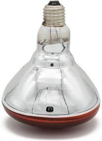 img 1 attached to 🐔 Fengrun Infrared Bulb: Hard Explosion-Proof Glass Heating Lamp for Chicken, Pet, Bathroom - Warming Light Bulb (250W, 120V)