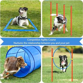 img 3 attached to Complete Dog Agility Training Kit With Obstacle Course Starter Set - Includes Tunnel, Jumping Ring, High Jumps, Weave Poles, Pause Box And Carrying Case For Outdoor Pet Games By XiaZ