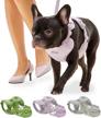 control your dog with ease and comfort: arrr no-pull dog harness with front leash clip and soft padding for small and medium sized dogs logo