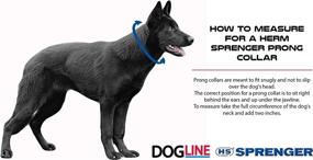 img 2 attached to Herm Sprenger Dog Training Collar: Ultra-Plus Chrome Plated Steel 🐶 Pet Pinch Collar for Effective No-Pull Training - Made in Germany