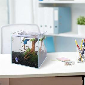 img 1 attached to 🐠 Enhance Your Home & Office with the Aquadock 2.6 Gallons Rimless Low Iron Glass Fish Tank: Complete Kit Included!