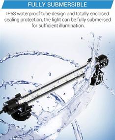 img 2 attached to 🐠 NICREW 7.5-inch Submersible LED Aquarium Light for Freshwater Aquariums - Brilliant White and Blue Light Stick, 4W