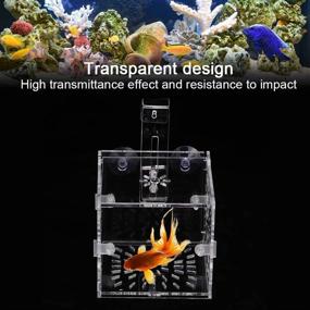 img 3 attached to 🐟 Acrylic Aquarium Breeder Box: Transparent Fish Breeding Tank for Hatchery, Incubation, and Isolation
