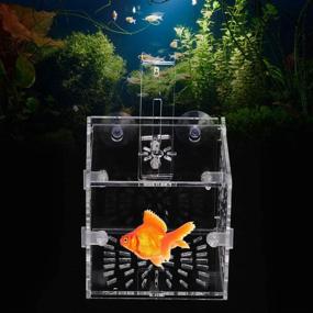 img 2 attached to 🐟 Acrylic Aquarium Breeder Box: Transparent Fish Breeding Tank for Hatchery, Incubation, and Isolation