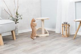 img 1 attached to Enhance Your Cat's Playtime 🐱 with TRIXIE Scratching Post and Platform