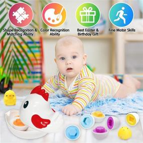 img 3 attached to 🐔 Montessori Chicken Toddler Toys: Enhance Fine Motor Skills with 8 Eggs & 2 Chicks, Perfect Sensory Learning Toys for 1-3 Year Olds, Shape Sorter Educational Gifts for Boys and Girls