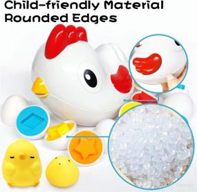 img 1 attached to 🐔 Montessori Chicken Toddler Toys: Enhance Fine Motor Skills with 8 Eggs & 2 Chicks, Perfect Sensory Learning Toys for 1-3 Year Olds, Shape Sorter Educational Gifts for Boys and Girls