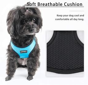 img 2 attached to 🐾 Small Dog Harness with Reflective Heavy Duty Leash - No Pull & Adjustable Soft Breathable Vest Harness Set for Small and Medium Dogs