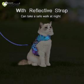 img 1 attached to 🐾 Escape Proof Cat and Small Dog Harness with Leash - Air Mesh Fabric Vest for Outdoor Walking, Reflective Strips (L, Blue)