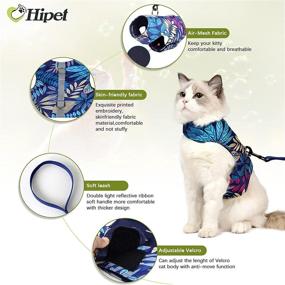 img 3 attached to 🐾 Escape Proof Cat and Small Dog Harness with Leash - Air Mesh Fabric Vest for Outdoor Walking, Reflective Strips (L, Blue)