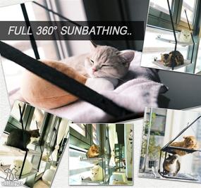 img 2 attached to 🐱 SIAREUN Cat Window Perch, Double Layer Plush Pad Cat Hammock for Indoor Cats - Latest Grey Double Layer Design