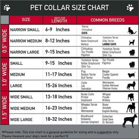 img 1 attached to Buckle Down Plastic Clip Collar Cats best in Collars, Harnesses & Leashes