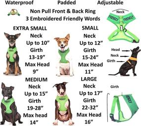 img 3 attached to 🐾 Dexil Friendly Green Color Coded Non-Pull Front and Back D Ring Padded Waterproof Vest Dog Harness: Prevent Accidents with Advance Warning to Others