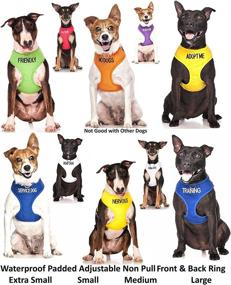 img 2 attached to 🐾 Dexil Friendly Green Color Coded Non-Pull Front and Back D Ring Padded Waterproof Vest Dog Harness: Prevent Accidents with Advance Warning to Others