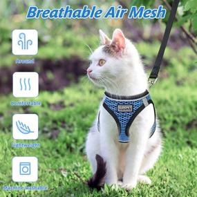 img 1 attached to 🐱 Nanappice Cat Harness and Leash: Escape Proof Kitten Vest for Safe Outdoor Strolls with Adjustable Soft Mesh, Reflective Strips Included