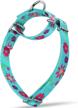 dazzber martingale collar floral print dog collar no pull pet collar, heavy duty adjustable dog collar, large, neck 17 inch to 25 inch, sun flower (teal) logo
