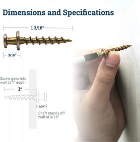 img 3 attached to Versatile Bear Claw Screw Hanger Gold - 30lb Picture Hooks - 4-in-1 Hanging Screws for Various Mounting Options - Ideal for Drywall and Wood Studs - 30 Pack