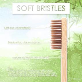 img 2 attached to Toothbrushes Biodegradable Toothbrush Eco Friendly Travelling