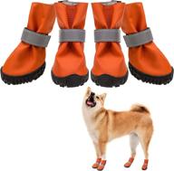 scenereal waterproof anti slip pavement comfortable dogs логотип