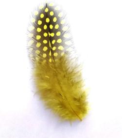 img 3 attached to Colored Spotted Feather Set - 100 Pieces Of Guinea And Pheasant Feathers Ranging From 3 To 6 Inches In Length, Ideal For Dream Catcher, Jewelry Making, And Decoration Accessories In Yellow