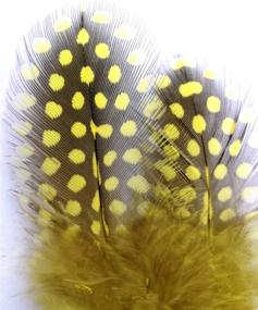 img 2 attached to Colored Spotted Feather Set - 100 Pieces Of Guinea And Pheasant Feathers Ranging From 3 To 6 Inches In Length, Ideal For Dream Catcher, Jewelry Making, And Decoration Accessories In Yellow