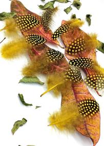 img 1 attached to Colored Spotted Feather Set - 100 Pieces Of Guinea And Pheasant Feathers Ranging From 3 To 6 Inches In Length, Ideal For Dream Catcher, Jewelry Making, And Decoration Accessories In Yellow