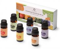 floral and fruity airthereal aromatherapy essential oils gift set - 100% pure natural, 6 scents in 10ml bottles - chamomile, lavender, lemon, orange, white tea, wild bluebell collection logo