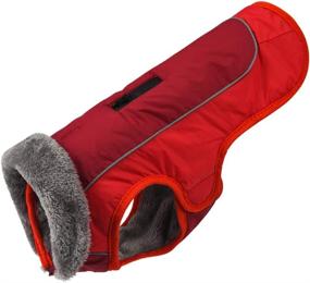 img 4 attached to ❄️ Warm Your Pooch with the Apetian Dog Cold Weather Coats - Winter Dog Vest and Jacket, Belle