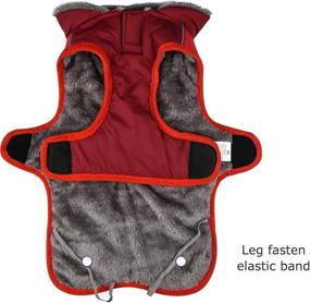 img 1 attached to ❄️ Warm Your Pooch with the Apetian Dog Cold Weather Coats - Winter Dog Vest and Jacket, Belle