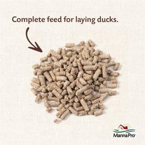 img 2 attached to 🦆 Manna Pro Duck Layer Pellets, 8 Pounds (Pack of 2): Optimal Feed for Healthy Ducks and Increased Egg Production