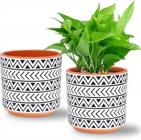 img 4 attached to Set Of 2 Ceramic Plant Pots, DeeCoo 5.5 Inch Flower Planters With Drainage Hole, Round Succulent Pots For Cactus, Snake Plants, Bamboo & Outdoor Plants