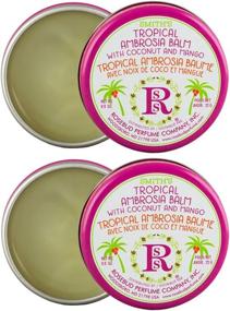 img 1 attached to Rosebud Salve Tropical Ambrosia Balm