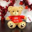 customized valentine's plush: dibsies teddy bear with personalized 'i love you' logo