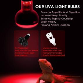 img 1 attached to 🦎 Heat Lamp Bulbs for Reptile Tanks - Briignite UVA Reptile Light, Red Heat Lamp Bulb with E26 Base (50W) - Full Spectrum Heat Light Bulb perfect for Turtle, Lizard, and Bearded Dragon Accessories - Includes 1 Pack