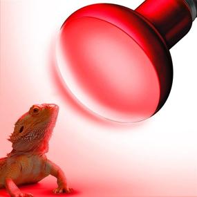 img 4 attached to 🦎 Heat Lamp Bulbs for Reptile Tanks - Briignite UVA Reptile Light, Red Heat Lamp Bulb with E26 Base (50W) - Full Spectrum Heat Light Bulb perfect for Turtle, Lizard, and Bearded Dragon Accessories - Includes 1 Pack