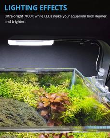 img 3 attached to NICREW Mini Aquarium Clip-On Light: Ultra-Bright and Stable COB LED for Small Planted Fish Tanks - 7000K, 10W