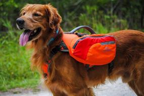 img 4 attached to 🐶 Versatile Medium-Sized Dog Backpack Life Jacket: Maximum Safety and Convenience