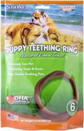 n-bone puppy teething ring pumpkin flavor 24-pack logo