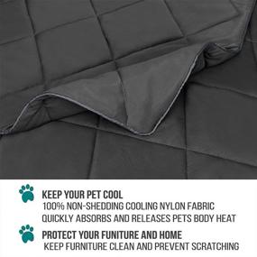 img 1 attached to 🐾 PetAmi Premium Cooling Dog Blanket: Lightweight Fluffy Throw Bed Cover for Dogs, Cats, and Puppies – Reversible Fuzzy Microfiber for Furniture Protection on Bed, Couch, Sofa