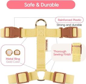 img 1 attached to 🐶 Premium Adjustable Dog Harness for Small to Medium Dogs | Choke-Free Design, Escape-Proof, Soft Cotton Webbing | Easy-to-Wear Pet Walking Halter Harnesses