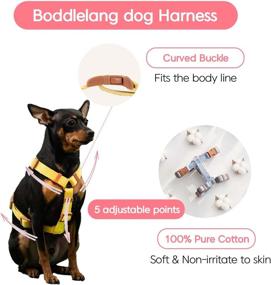 img 2 attached to 🐶 Premium Adjustable Dog Harness for Small to Medium Dogs | Choke-Free Design, Escape-Proof, Soft Cotton Webbing | Easy-to-Wear Pet Walking Halter Harnesses