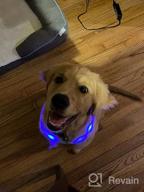img 1 attached to Purple LED Dog Collar - USB Rechargeable Light Up For Night Safety, Glowing In The Dark | Joytale review by Jacob Morrison