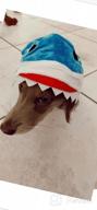 img 1 attached to Mogoko Funny Dog Cat Shark Costumes, Pet Halloween Christmas Cosplay Dress, Adorable Blue Shark Pet Costume,Animal Fleece Hoodie Warm Outfits Clothes (L Size) review by Lori Jordan