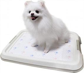 img 4 attached to Puppy Pee Pad Holder Tray For Dog Training Pads - 19.2"X14