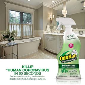 img 1 attached to 🌿 OdoBan 32 Fl Oz (Pack of 3) Eucalyptus Odor Eliminator and Laundry Refresher - Ready-to-Use Disinfectant and Eliminator